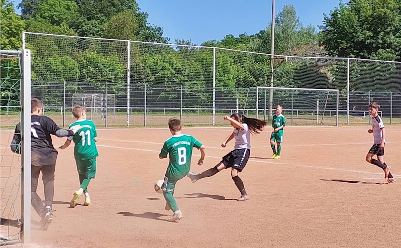 Sieg auf der trockenen Falkenburg Sieg auf der trockenen Falkenburg