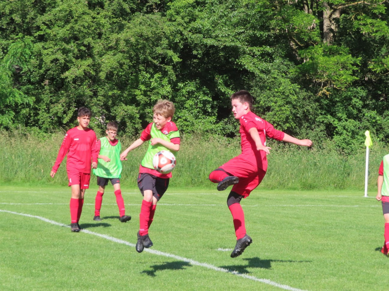 D2 gewinnen Meisterschaft D2 gewinnen Meisterschaft