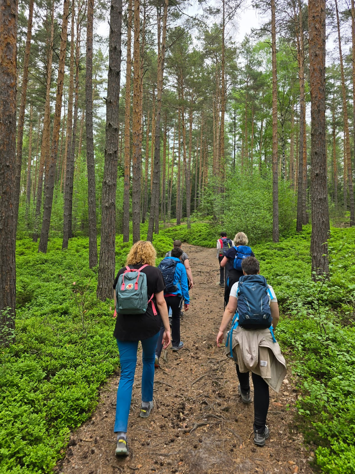 Unterwegs auf dem Goethe Wanderweg