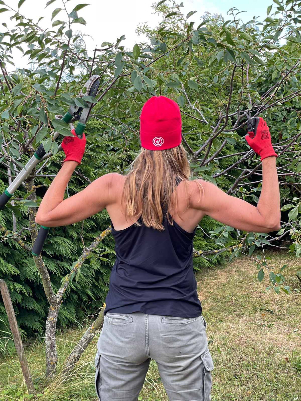 Grüße von Steffi aus dem heimischen Garten Grüße von Steffi aus dem heimischen Garten