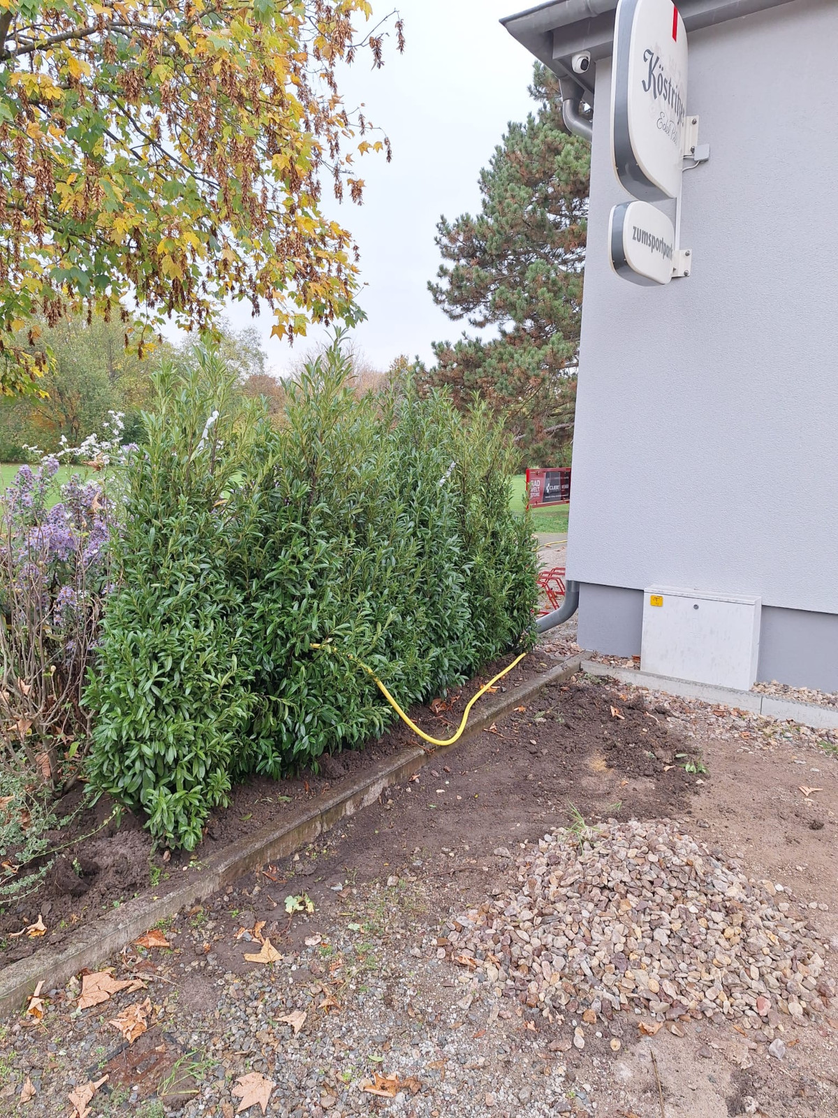 Kleine Wohlfühloase Kleine Wohlfühloase