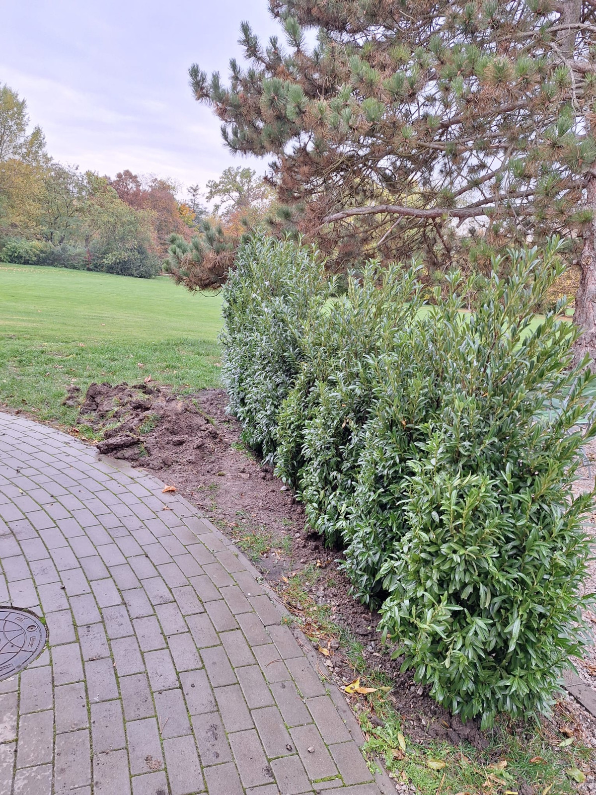 Kleine Wohlfühloase