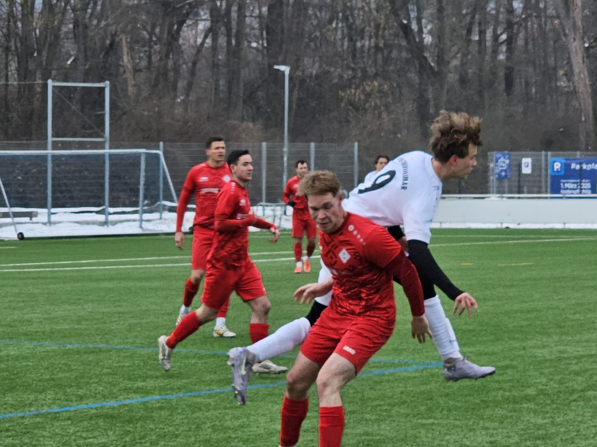 Wildes 5:5 - Härtetest bei Schott Reserve