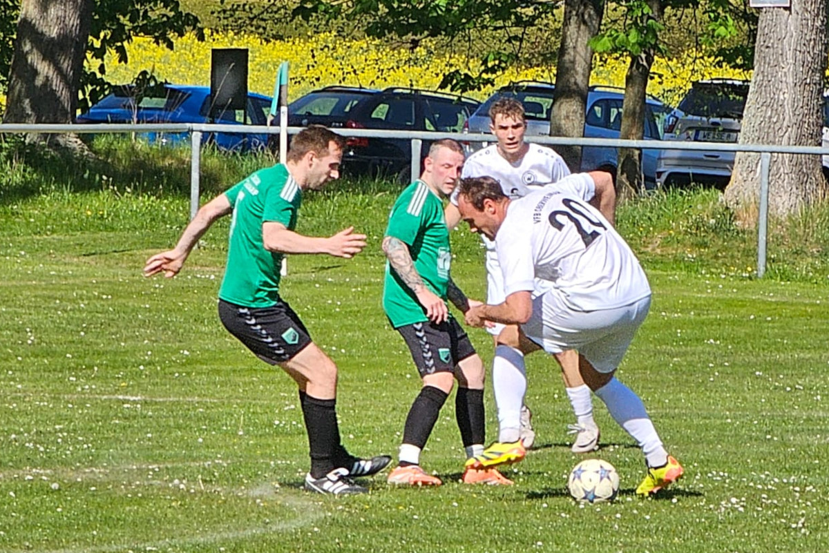 Fotos vom Aufstiegsspiel