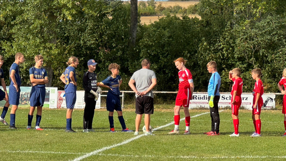 Es sind noch keine Bäume in den Himmel gefallen