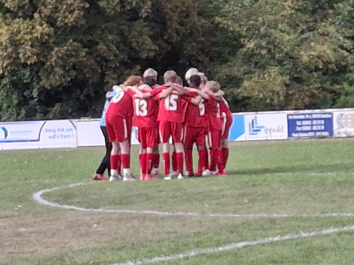 Es sind noch keine Bäume in den Himmel gefallen