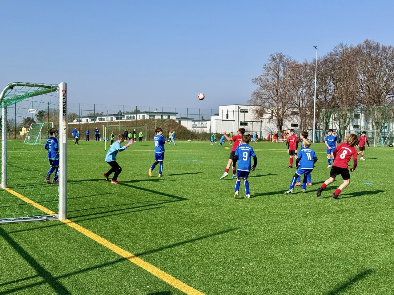 D1 Junioren des VfB Oberweimar siegen 8:1 gegen SG FV BW Niederzimmern