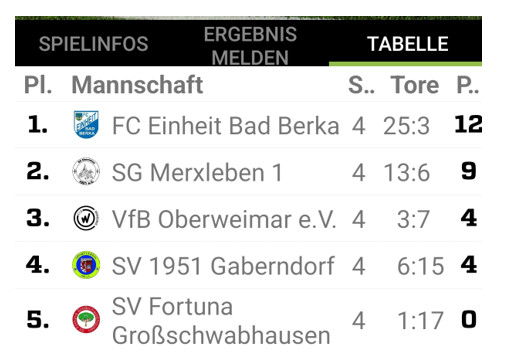 3.Platz beim 4. Verbandsturnier der E-Mädchen in Gaberndorf 3.Platz beim 4. Verbandsturnier der E-Mädchen in Gaberndorf