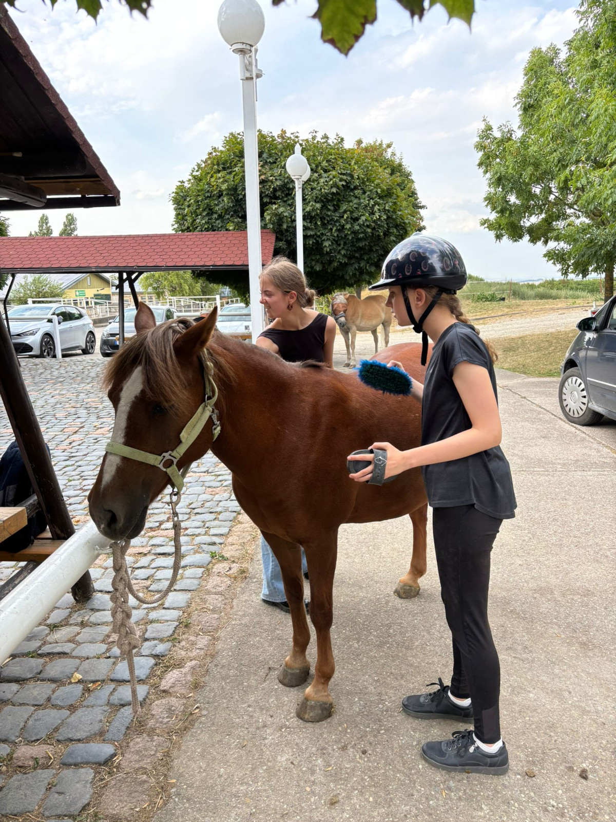 Ausflug zum Reit- und Fahrverein Weimar/ Linda Ausflug zum Reit- und Fahrverein Weimar/ Linda