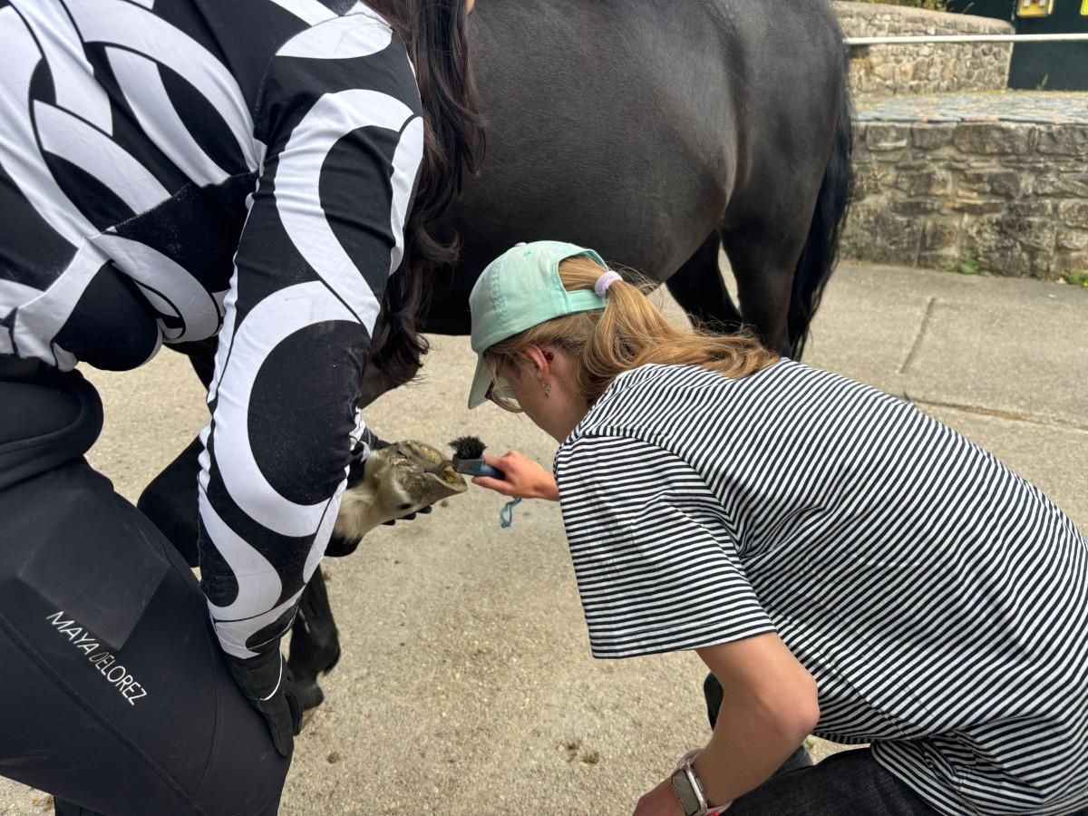 Ausflug zum Reit- und Fahrverein Weimar/ Linda Ausflug zum Reit- und Fahrverein Weimar/ Linda