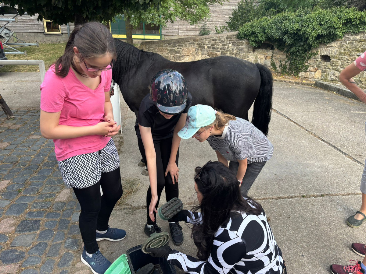 Ausflug zum Reit- und Fahrverein Weimar/ Linda Ausflug zum Reit- und Fahrverein Weimar/ Linda
