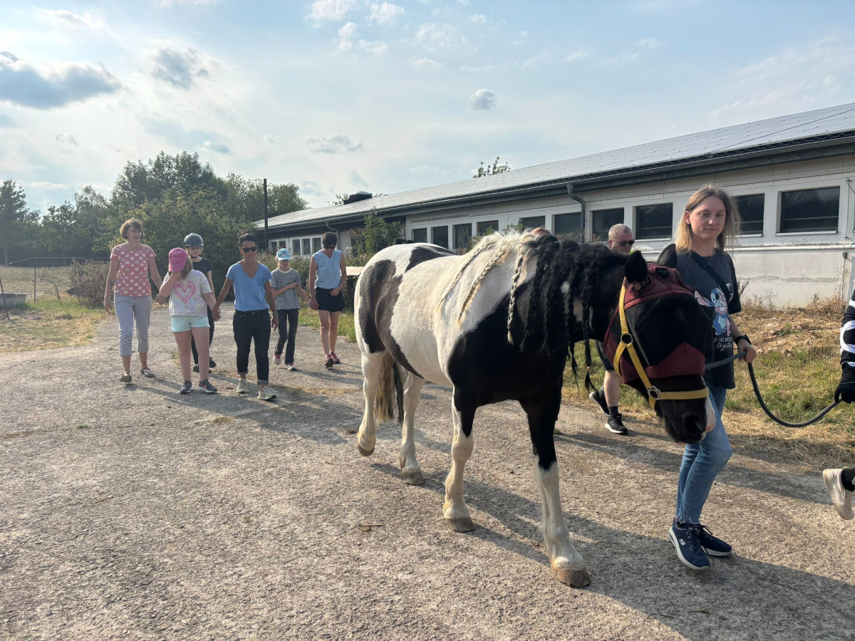 Ausflug zum Reit- und Fahrverein Weimar/ Linda Ausflug zum Reit- und Fahrverein Weimar/ Linda
