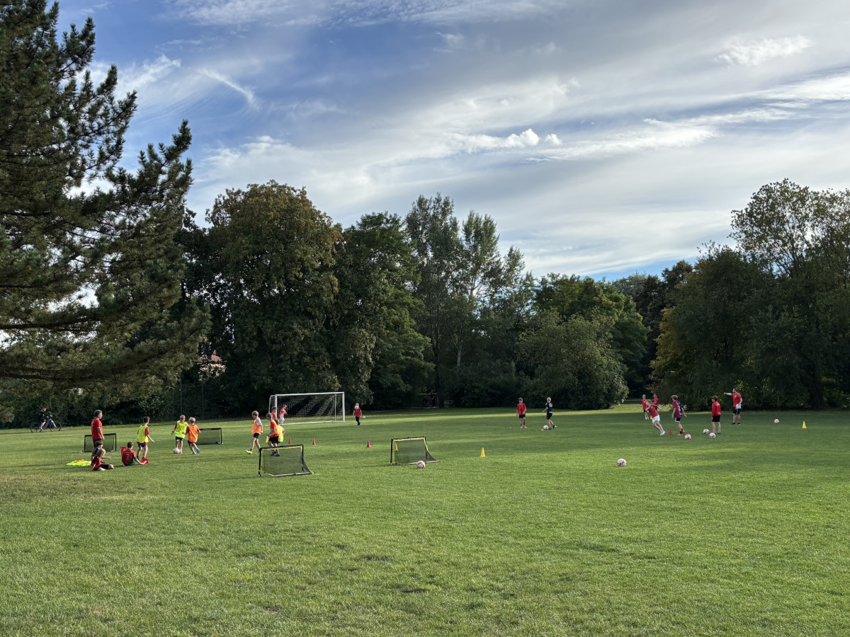 Belebter Parksportplatz Belebter Parksportplatz