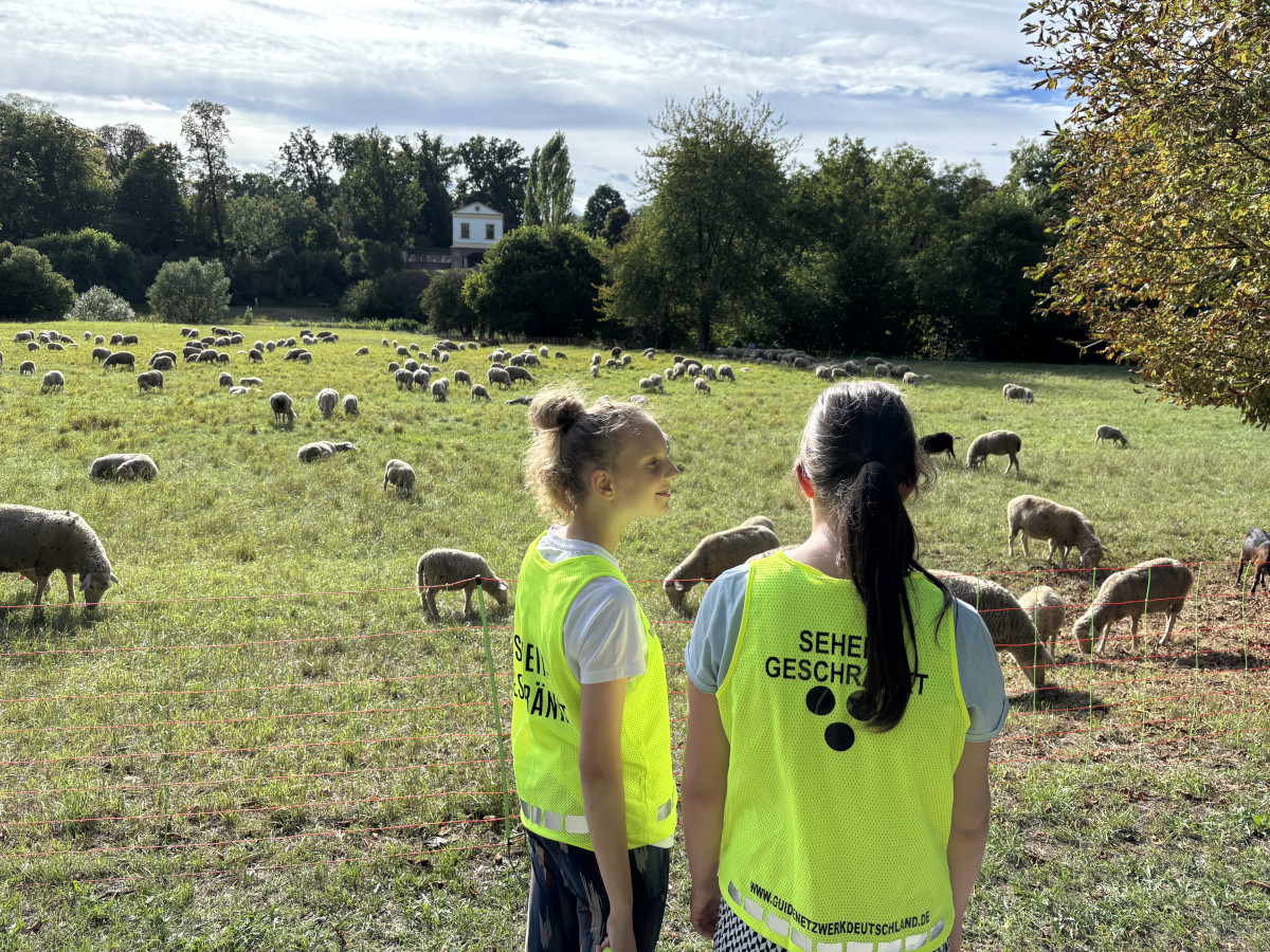 Belebter Parksportplatz Belebter Parksportplatz