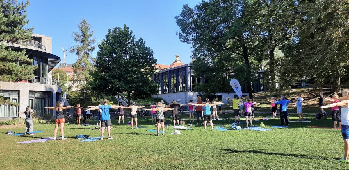 Sonne, Sommer, Sport im Park Sonne, Sommer, Sport im Park