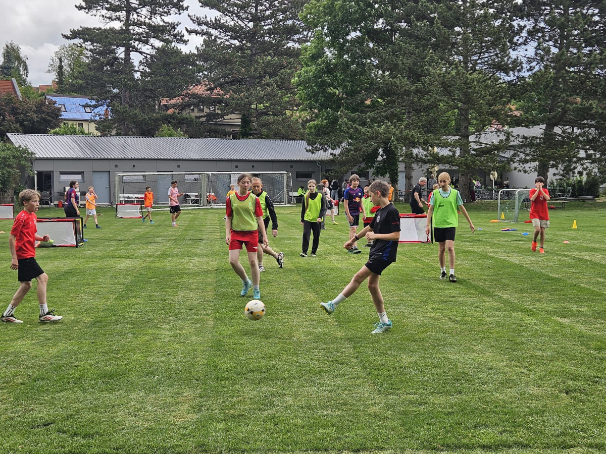 Sport, Spaß und internationale Begegnungen auf dem Parksportplatz Sport, Spaß und internationale Begegnungen auf dem Parksportplatz