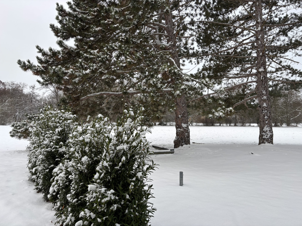 Schneedecke über dem Vereinsgelände 